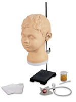 Life/form Diagnostic and Procedural Ear Trainer
