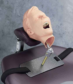Pediatric X-Ray Dental Manikin