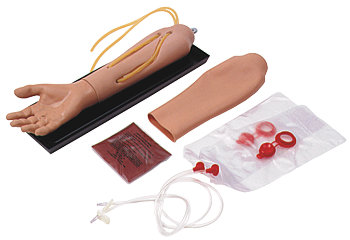 IV Lower Arm with Hand