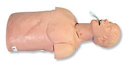 Adult Airway Management Trainer