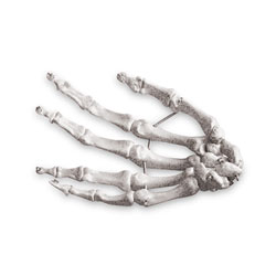 Hand Bones 
