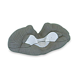 Cerebellum Model (2-Part) 