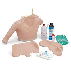 Life/form&reg; Heart Catheterization Simulator