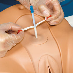 Advanced Catheterization Trainer