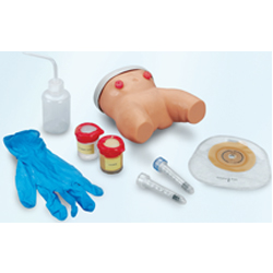 Advanced Female Catheterization Trainer
