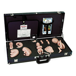 Human Reproduction and Development Kit - DVD